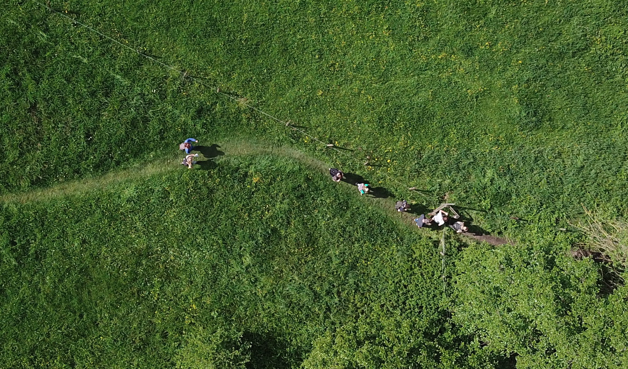 Excursion in the field - excursie app