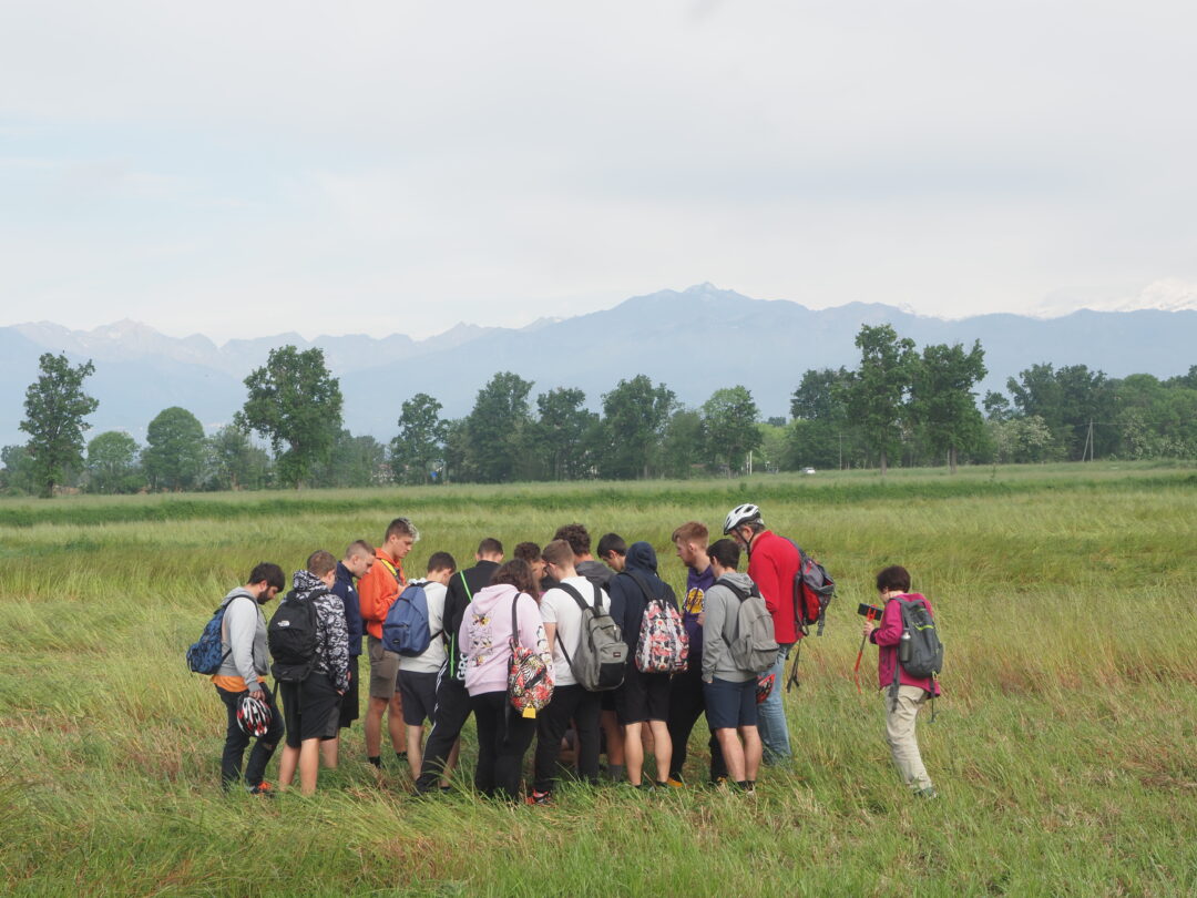Excursions with large student groups